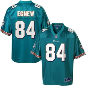 Pro Line Men's Miami Dolphins Michael Egnew Team Color Jersey