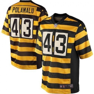 Nike Troy Polamalu Pittsburgh Steelers Alternate Game Jersey - G